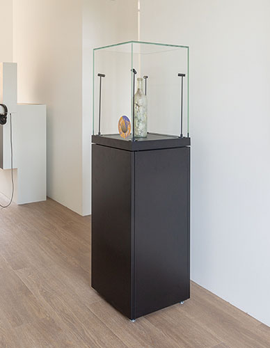 Vitrine cloche ExpoProtect