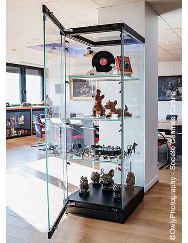 Vitrine modulable Top Expo