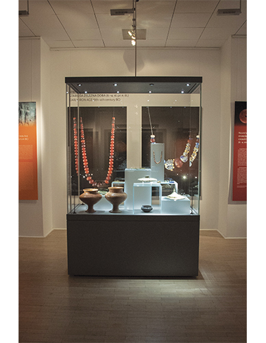 Vitrine armoire ExpoProtect avec socle