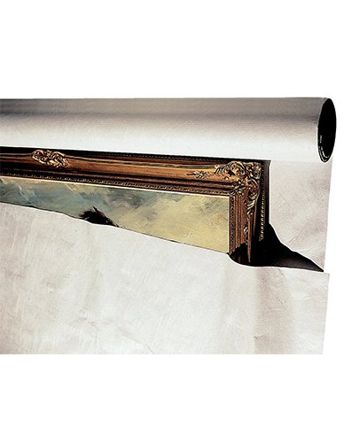 Rouleau Tyvek®