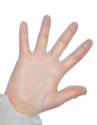 Gants vinyle non poudré